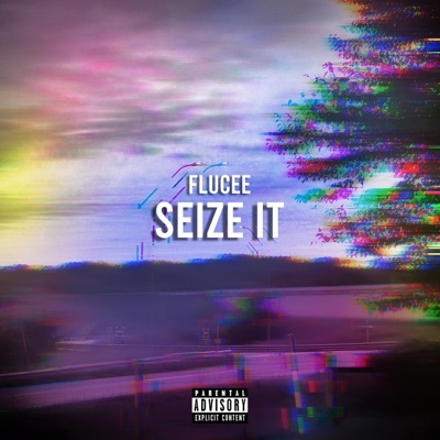 Seize It - Single