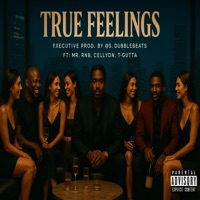 TRUE FEELINGS - Single - S Dubblebeats