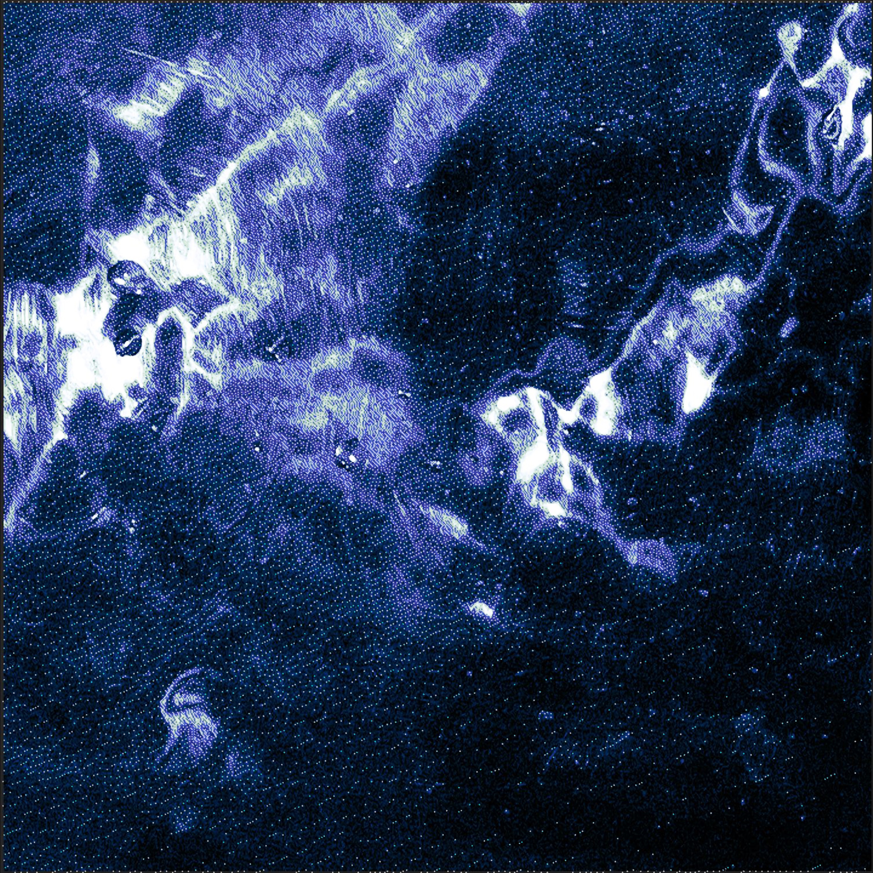 Mildew - Single