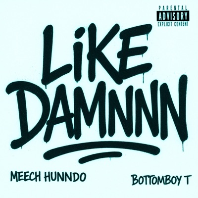 LiKE DAMNNN (feat. BottomBoy T) - Single