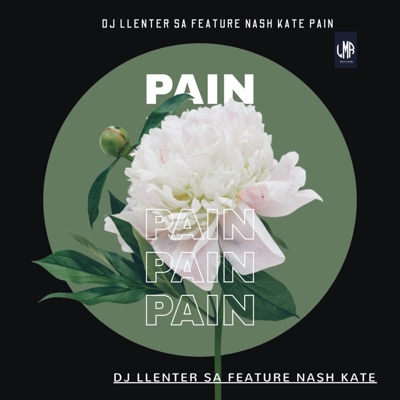 pain (Extended Version) [feat. Nash Kate] - Single