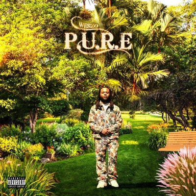P.U.R.E. (Performing Under Rare Excellence)