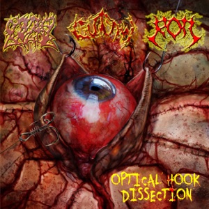 Optical Hook Dissection