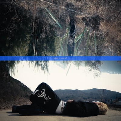 what u want - Single