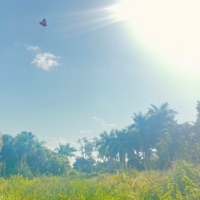 The Best In Me - Single - Aviad