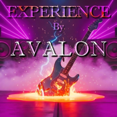 Experience