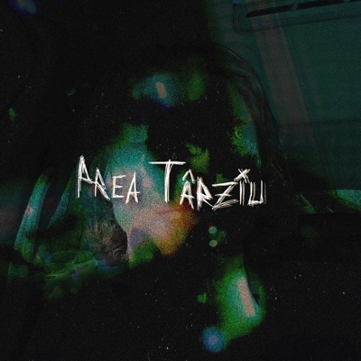 Prea Târziu - Single