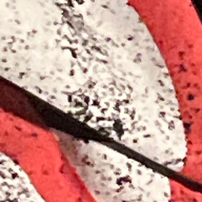 BOYS DON'T CRY - Single