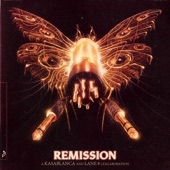 Remission (Extended Mix) artwork