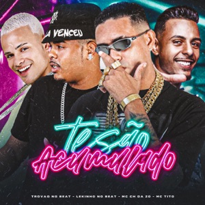 Tesão Acumulado (feat. Mc Tito)