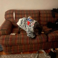 1up - Single - Vvsbb