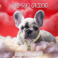 Maleantes - Single - LG Fusion