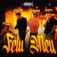 Felu' meu (feat. Portarelu, Faust1 & Ciobo) - Single - Ptt Fubu