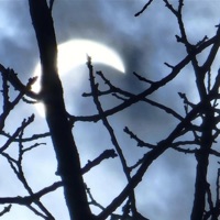 battle - Single - wannabe