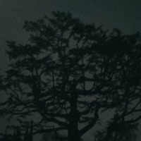 Isolation - Single - Blu Velvet