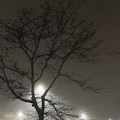 platinum2 (feat. César Schmidt) - Single