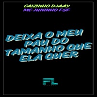 Deixa Meu Pau do Tamanho Que Ela Quer - Single - CAIZINHO DJAAY & Mc Juninho FSF