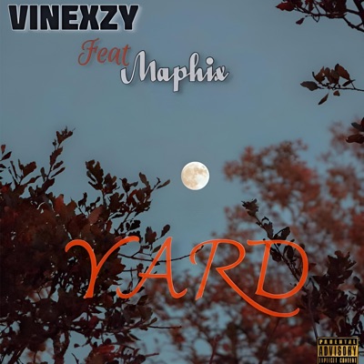 Yard (feat. Maphix) - Single
