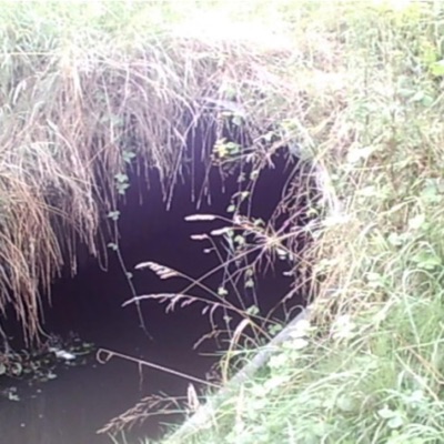 i'm losing my patience - Single