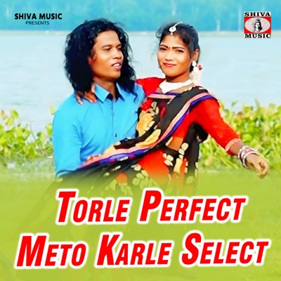 Torle Perfect Meto Karle Select - Single