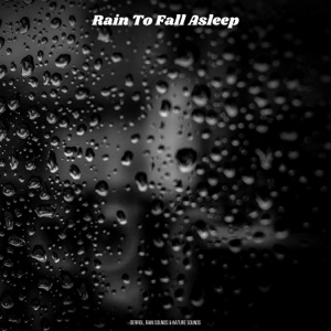 Rain To Fall Asleep
