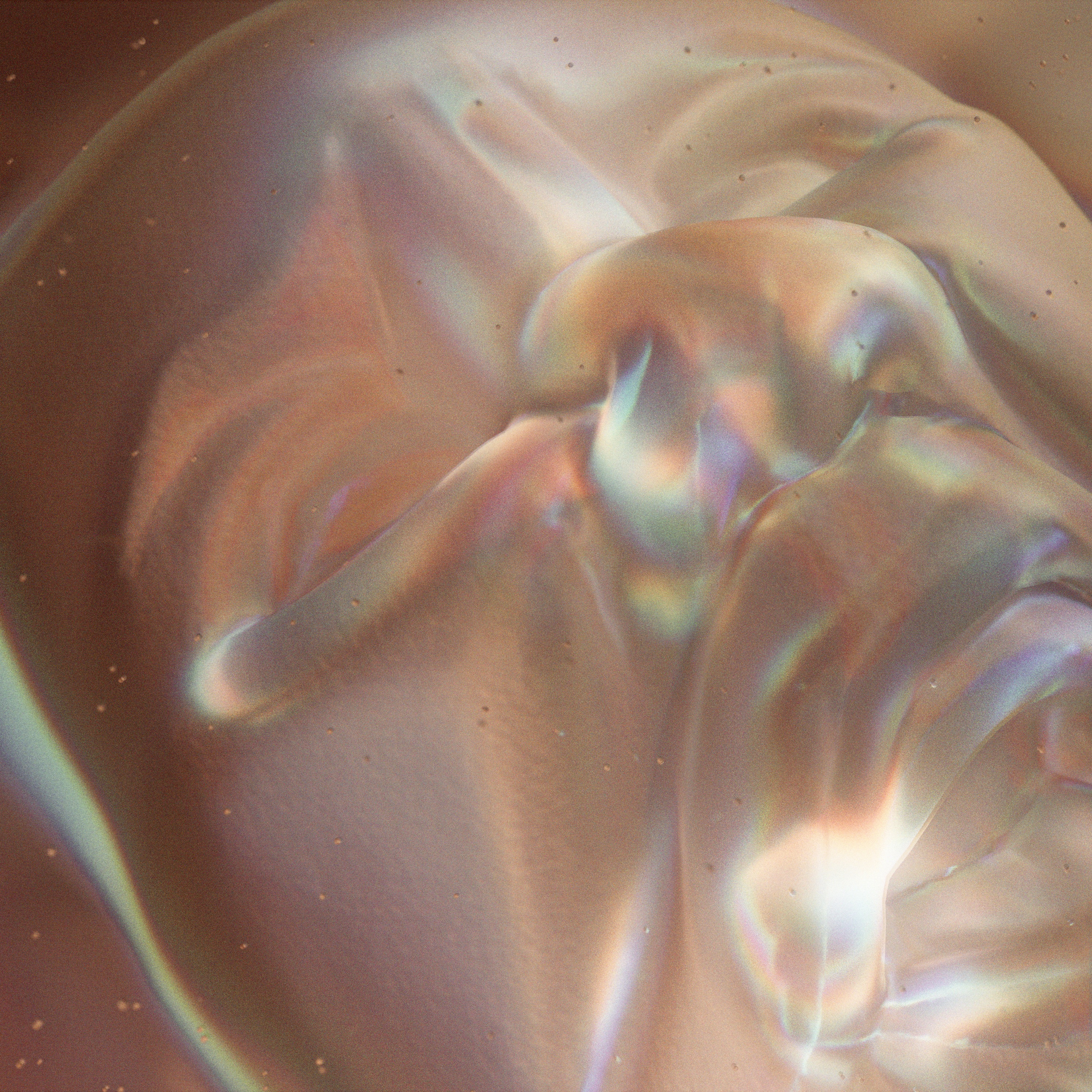 More Than Flesh - EP