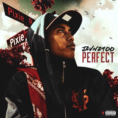 Perfect - Single