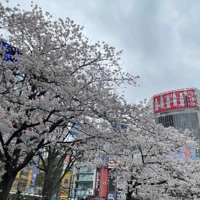 can't feel ya (feat. Wistual, i6neiru & yuraii) - Single - Xora