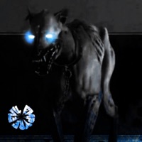 Off The Leash - Single - Gnarlynick