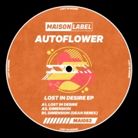 Lost in Desire - Single - AUTOFLOWER