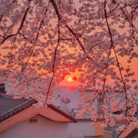 Warm Spring Evening - Single - CEMENTIX