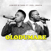 Olodumare (feat. Joel Lwaga) artwork