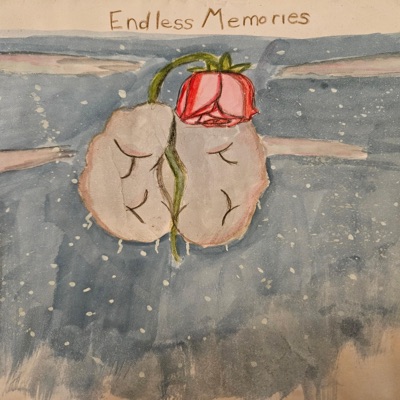 Endless Memories