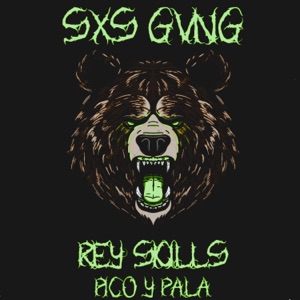 PICO Y PALA