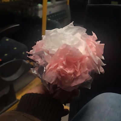 Budsjettert Kjærlighet - Single