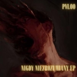 MOMENTY (feat. Inter) Pvloo