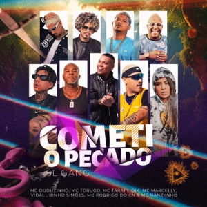 Cometi o Pecado (feat. Binho Simões, MC Marcelly, Mc Nanziinho, DJ Pedrinho, SL GANG, Mc Torugo, Mc Tarapi & Vidal)