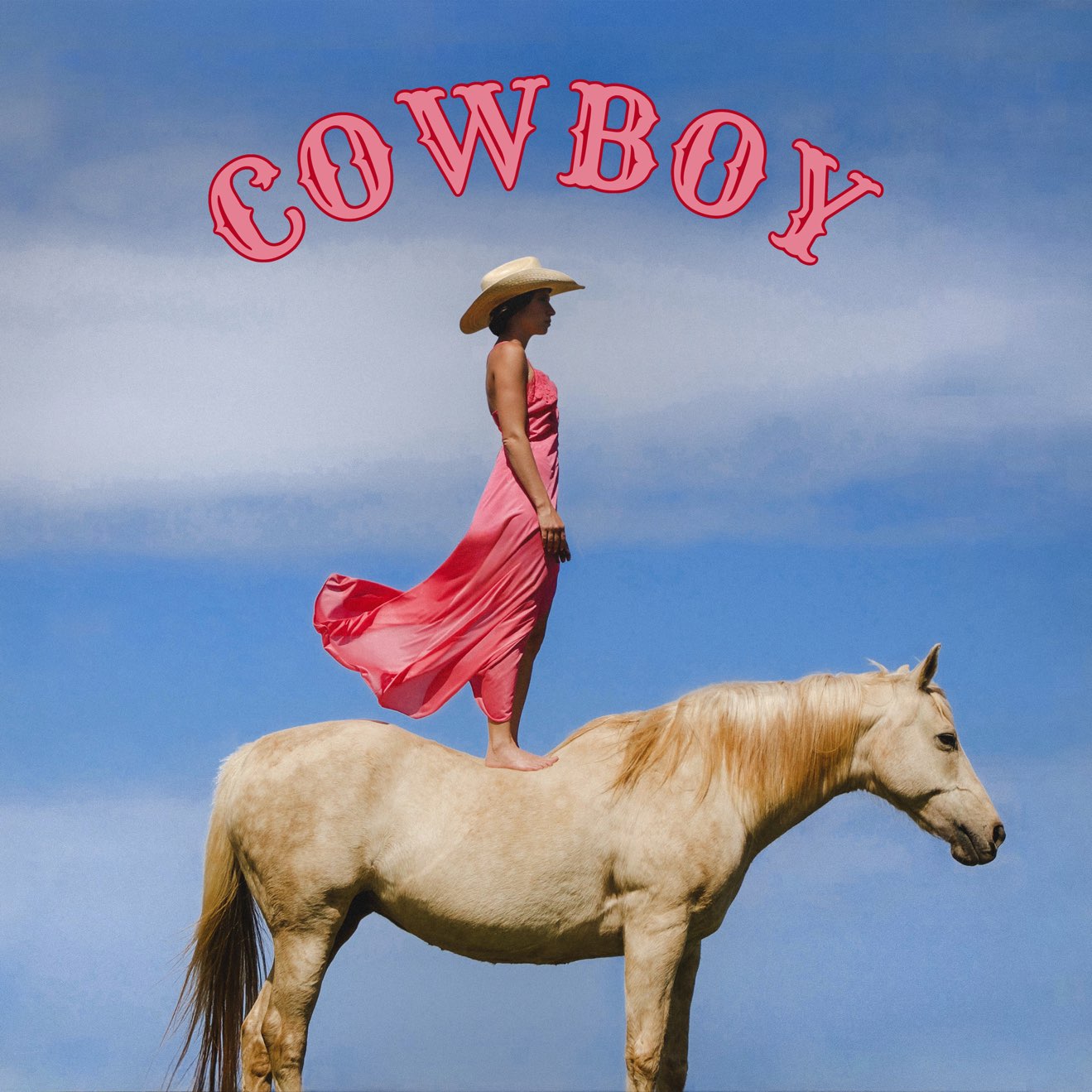 Lily Meola – Cowboy – Single (2024) [iTunes Match M4A]