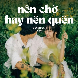 Nên Chờ Hay Nên Quên (Lofi)