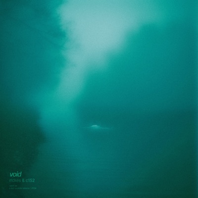 Void (Sped Up) - Single