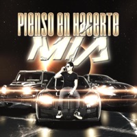 Pienso en hacerte mía - Single - Fresiswing