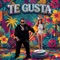 Te Gusta - Chimbala & La Mas Doll lyrics