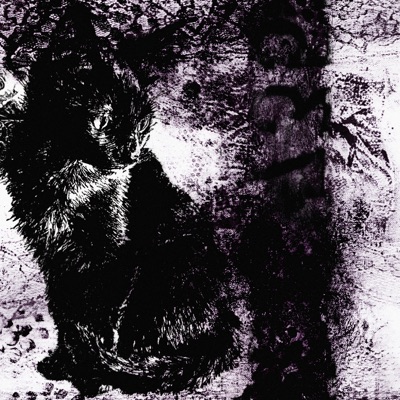 stuck on me - Single