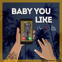 Baby you like (feat. Bajo mundo) - Single - J-Type