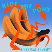 Ride The Pony artwork