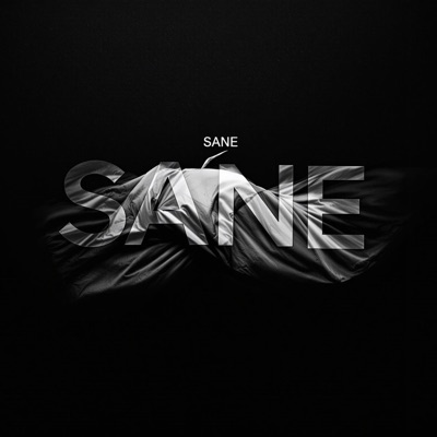 SANE (feat. SPACEMAN) - Single