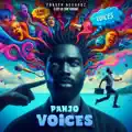 Voices