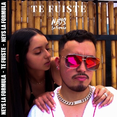 Te Fuiste - Single