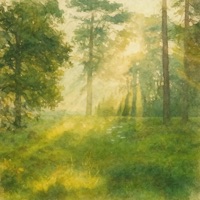 Willowshade - Single - Maneli Jamal