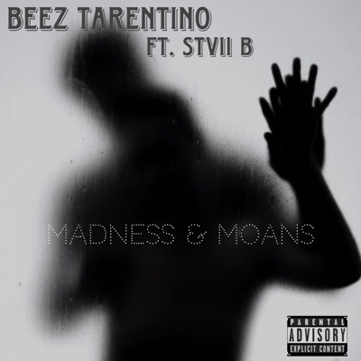 Madness & Moans (feat. Stvii B) - Single